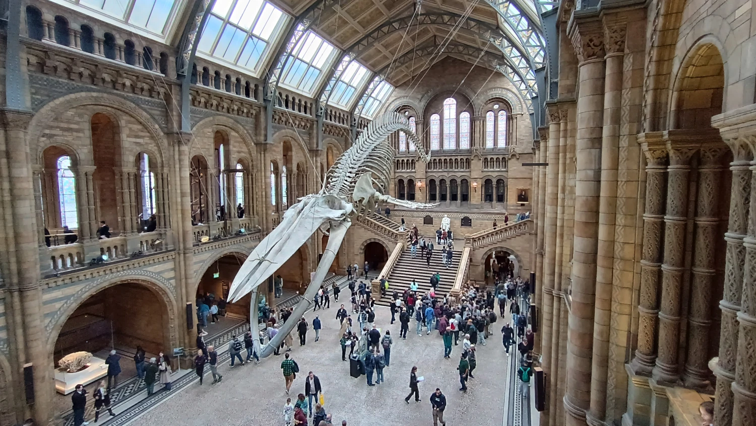 Přírodopisné muzeum