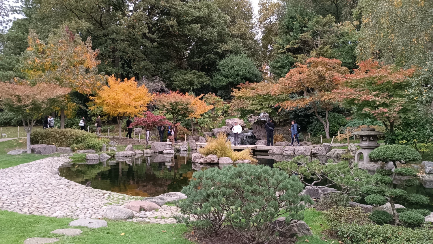 Kyoto Garden