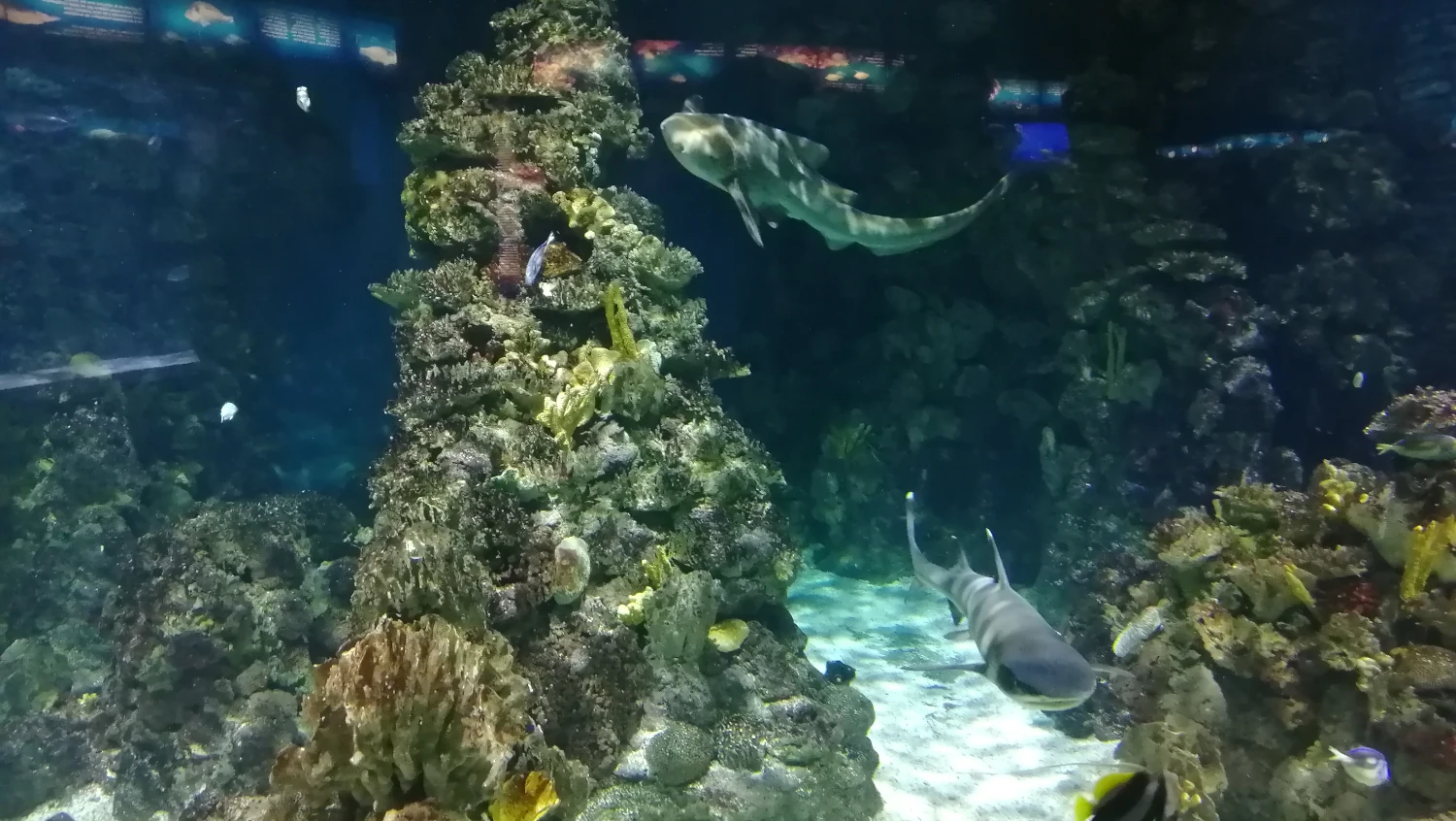 L’Aquàrium de Barcelona