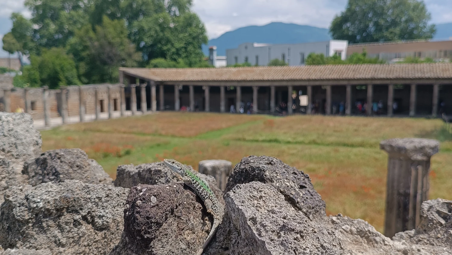 Pompeje