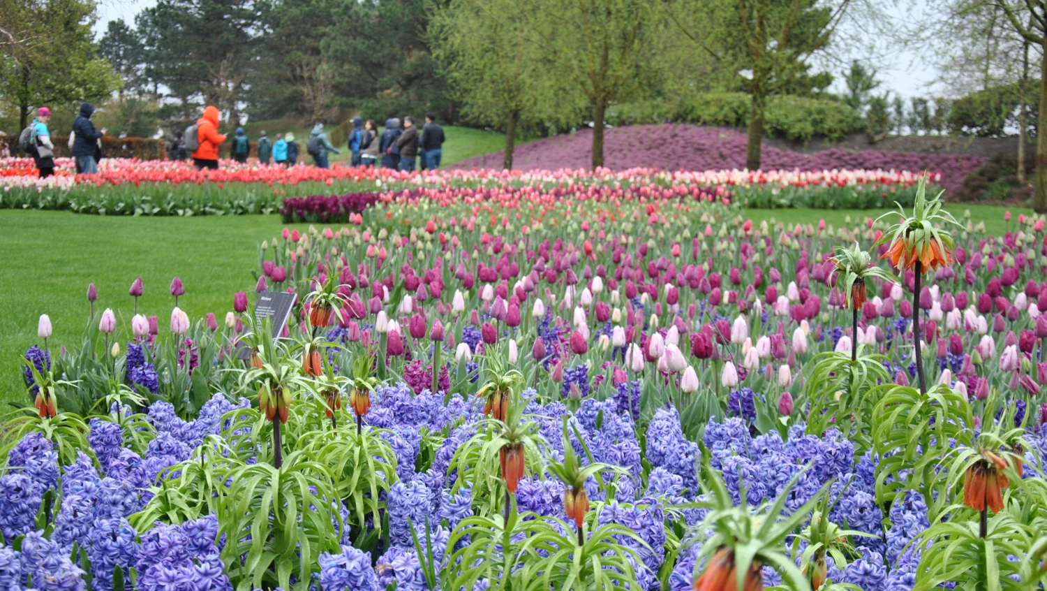 Keukenhof